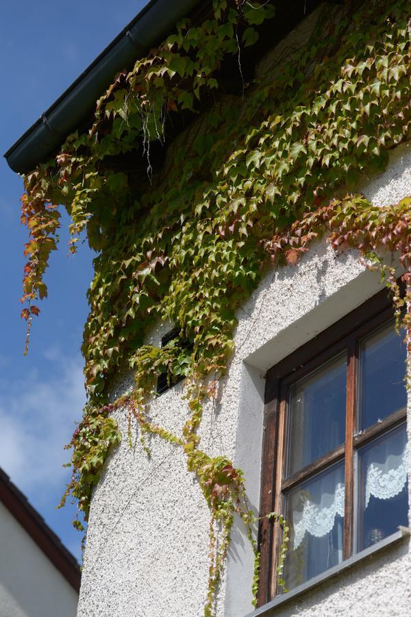 Hotel Am Regenbogen Cham Exterior photo
